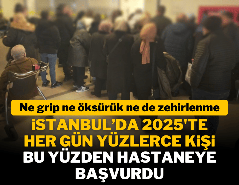İstanbul'da geçen yıl kuduz riskli temas nedeniyle 124 bin kişi hastaneye başvurdu