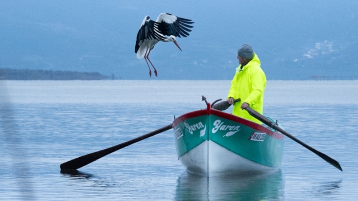 Beklenen müjde geldi: Yaren Leylek ile Adem Amca buluştu