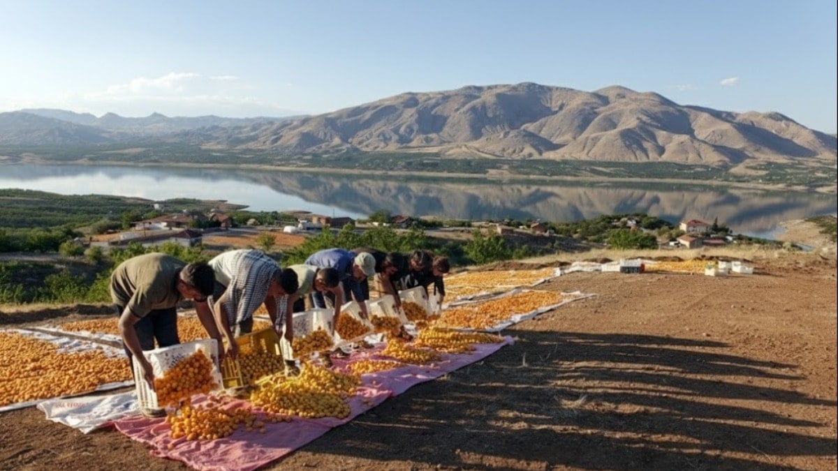 Tüm dünyanın gözü oraya çevrildi! Türkiye'nin bir şehrinden 750 milyon dolarlık dev hamle