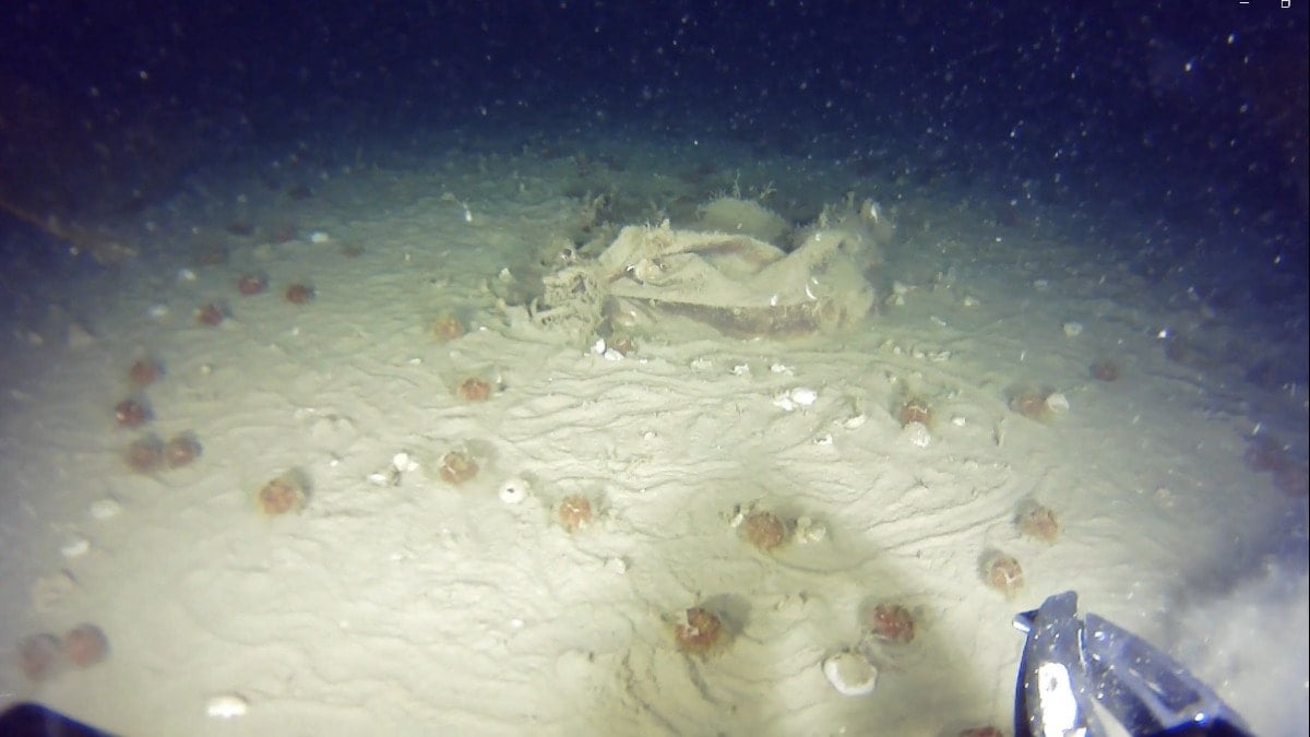 THY'nin 51 yıl önce düşen uçağının enkazından yeni parçalar bulundu