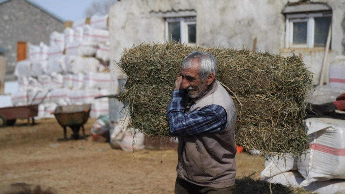 TÜİK açıkladı: Bu üç köyde sadece bir kişi yaşıyor