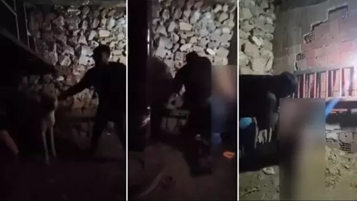 Tepkiye neden olmuştu: Ahırda işkenceye yeniden gözaltı