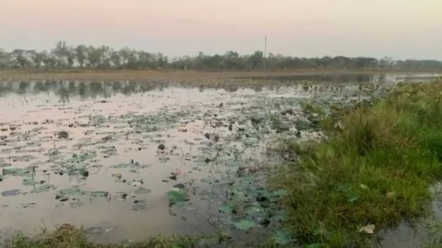Hayranı olduğu şarkıcı sonu oldu! Pozunu taklit ederken feci şekilde can verdi