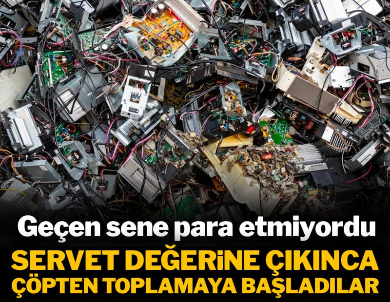 Geçen sene para etmiyordu: Şimdi çöpten topluyor, servet değerinde 