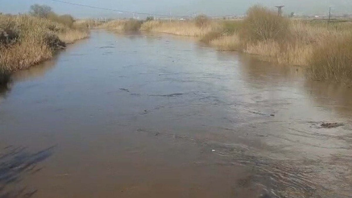 Aydın'da Büyük Menderes Nehri taştı: Tarım arazileri sular altında kaldı