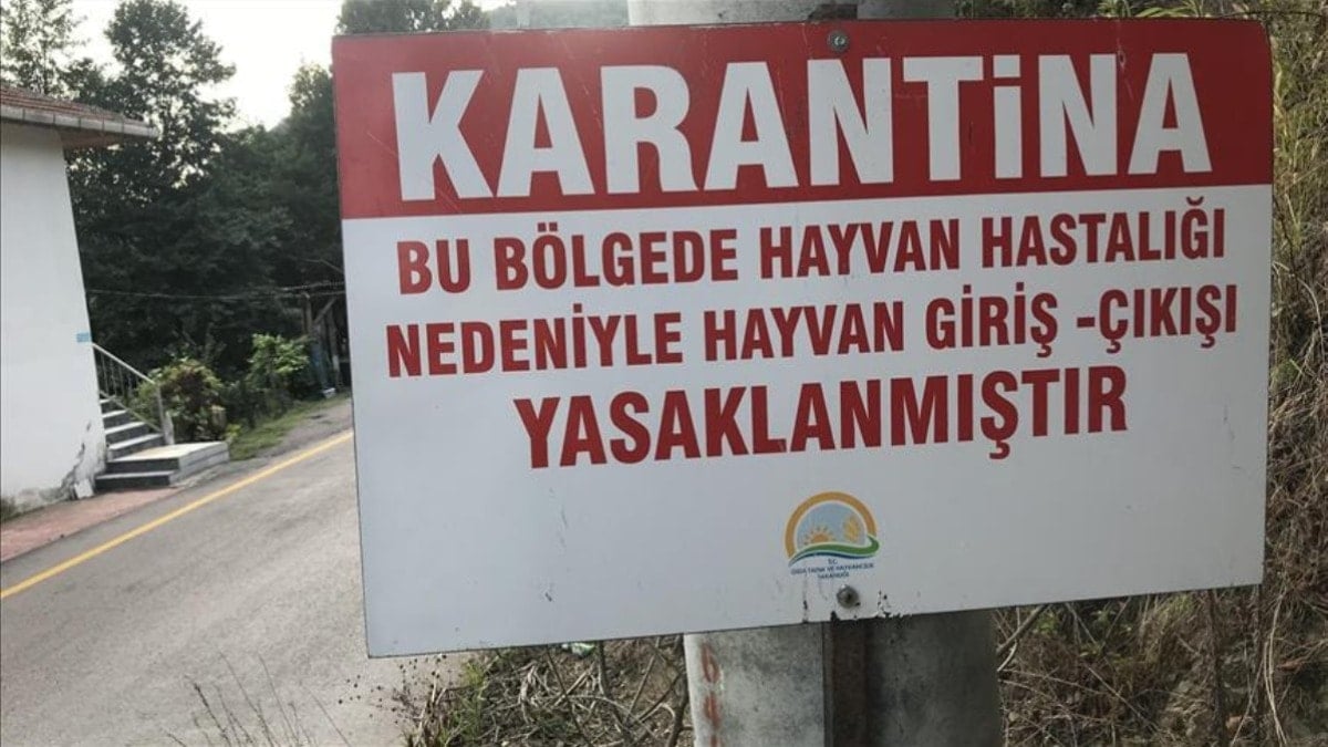 Hatay'da kuduz karantinası! Bölgeye giriş çıkış yasaklandı