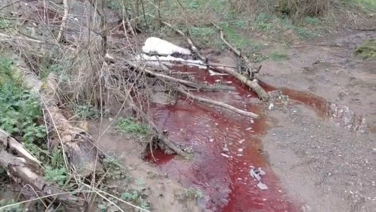 Ömerli Barajı yakınında 'kırmızı renkli akan dere' tedirginliği