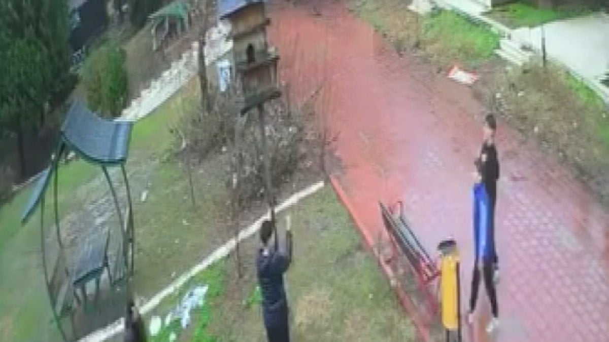 Küçük çocuklar parktaki kuş yuvasını parçaladı