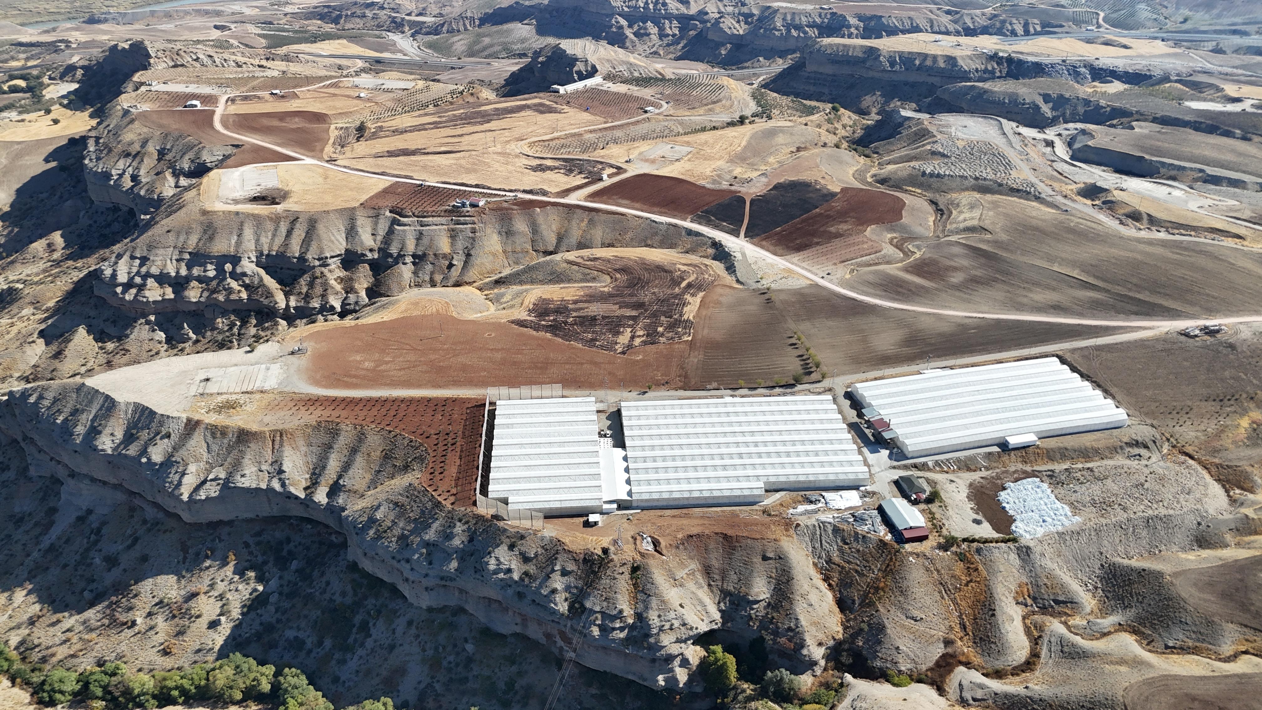 Yıllarca arpa ekildi, para kazandırmadı: Şimdi aynı tarlada farklı ürünle servet kazanıyor