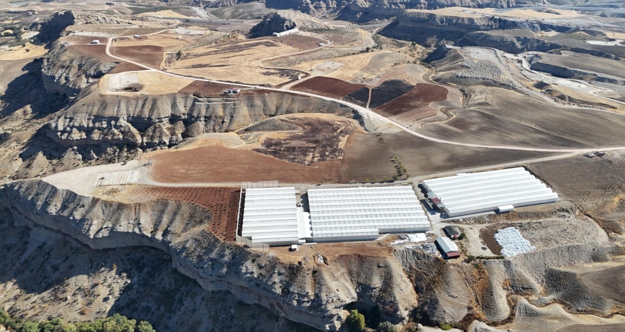 Yıllarca arpa ekildi, para kazandırmadı: Şimdi aynı tarlada farklı ürünle servet kazanıyor