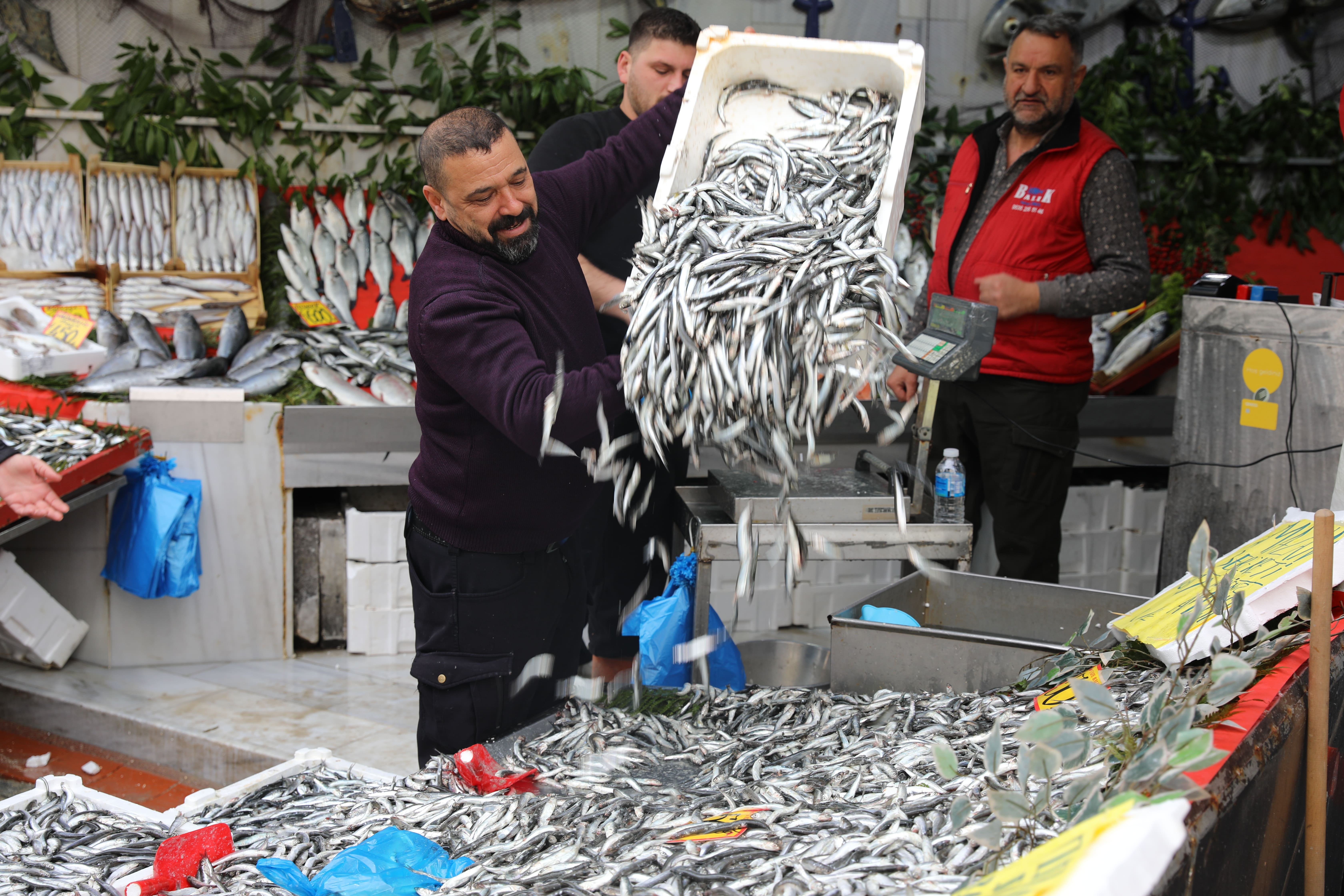 Balık tezgahlarında kuyruk oluştu: Fiyat ilk kez 400 liradan 50 liraya düştü