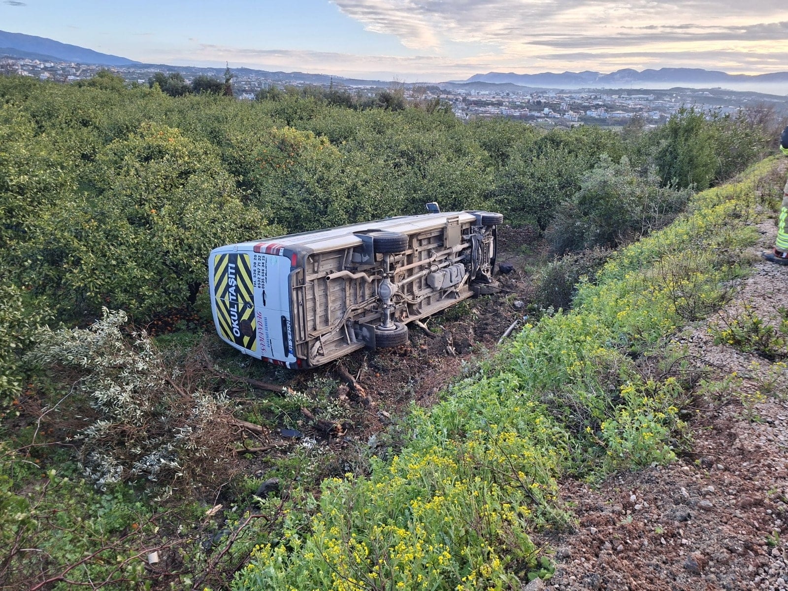 Hatay'da öğrenci servisi ağaçlık alana devrildi: 9 yaralı