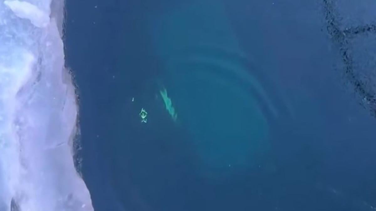 Baykal Gölü’nde faciası: 8 turist boğularak can verdi