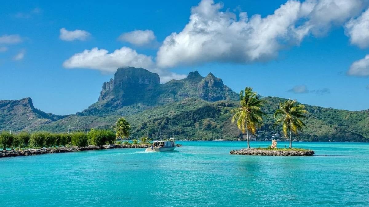 Saklı cennet adada ücretsiz yaşam teklifi: Tek bir şartı var