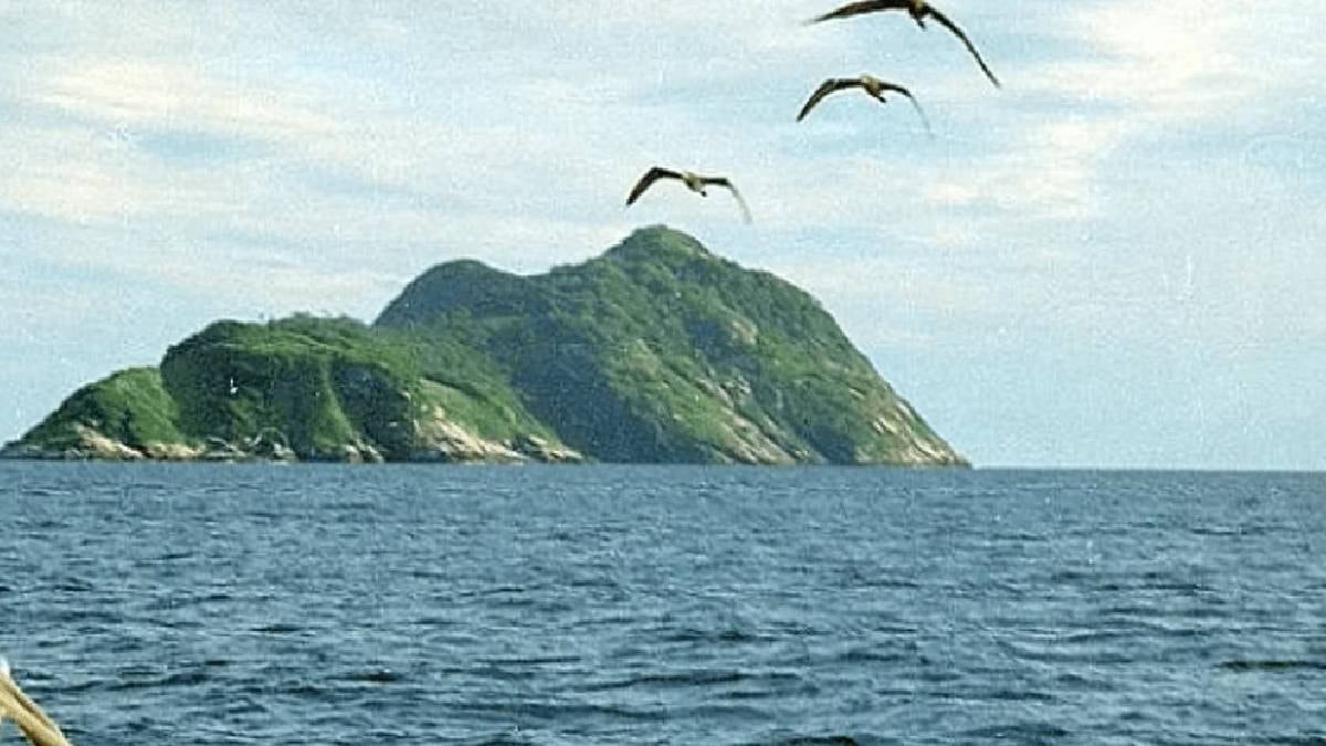 İnsanların girmesine izin verilmeyen ada: Dünya haritasındaki en korkunç nokta