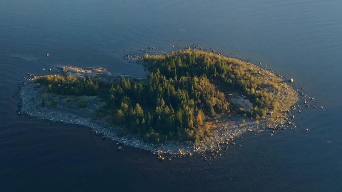 O ülkede seçilecek 5 kişiye ada verilecek