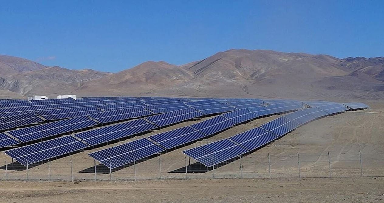 Güneş panellerinin altına bitki yerleştirmeye başladılar! Sonuçlarına inanamadılar