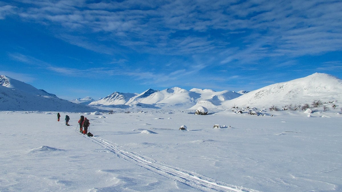 Bilim insanlarından acil çağrı: 3 farklı senaryo, tek bir gerçek var