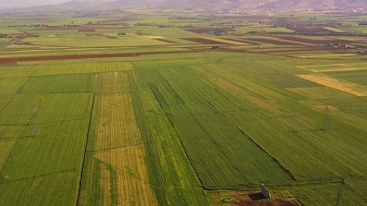  Burada tapusu olanlar yaşadı: Servet değerine ulaştı 