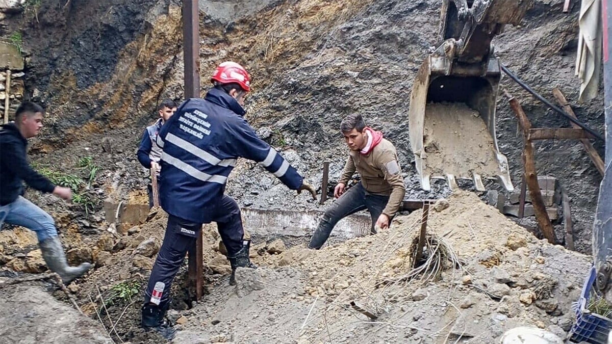 İstinat duvarı çöktü, hayvanlar altında kaldı