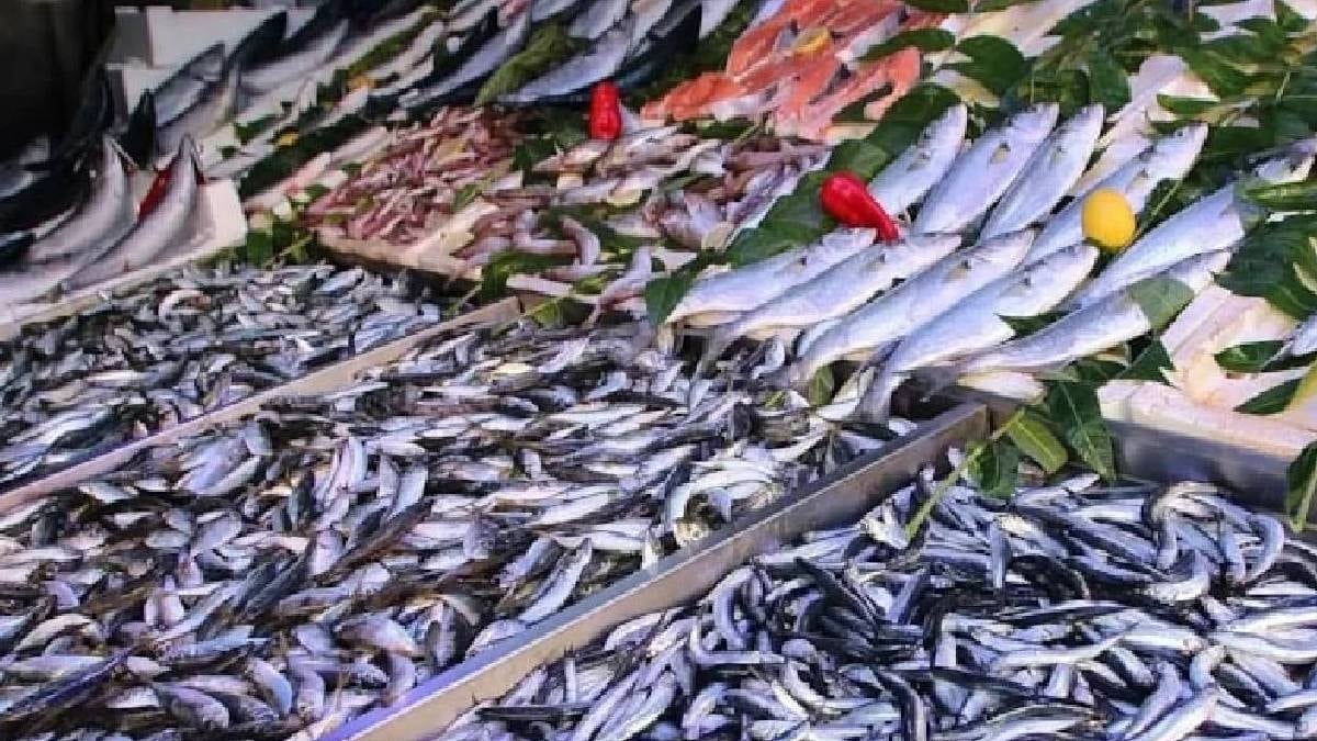 Dünyanın en kötü balığı: Zehir saçıyor ama marketlerde kapış kapış satılıyor