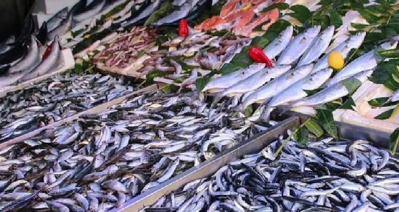 Herkesin küçümsediği bu balık hepsinden daha sağlıklıymış