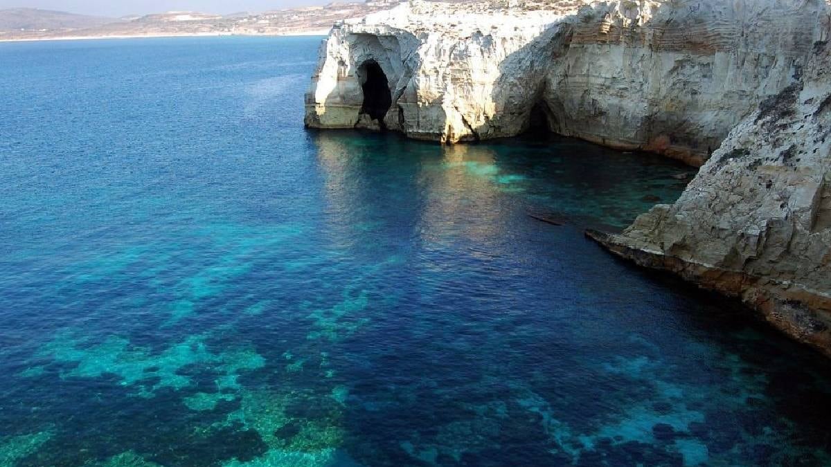 Akdeniz sularında ilk kez görüldü: Balık yerken bir kere daha düşünün