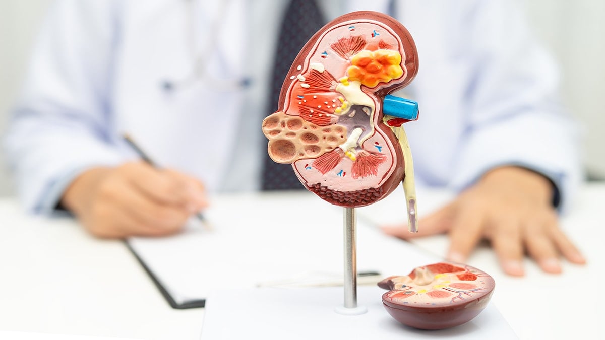 Böbrekleri 'altın' gibi koruyan besinler 