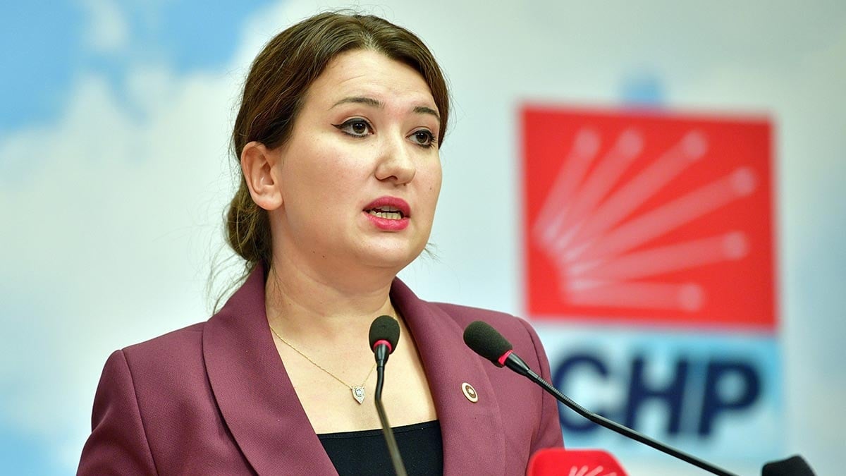 CHP'li Gökçen: Saç ve tırnak testini Ali Kaya istedi, Adli Tıp almadı