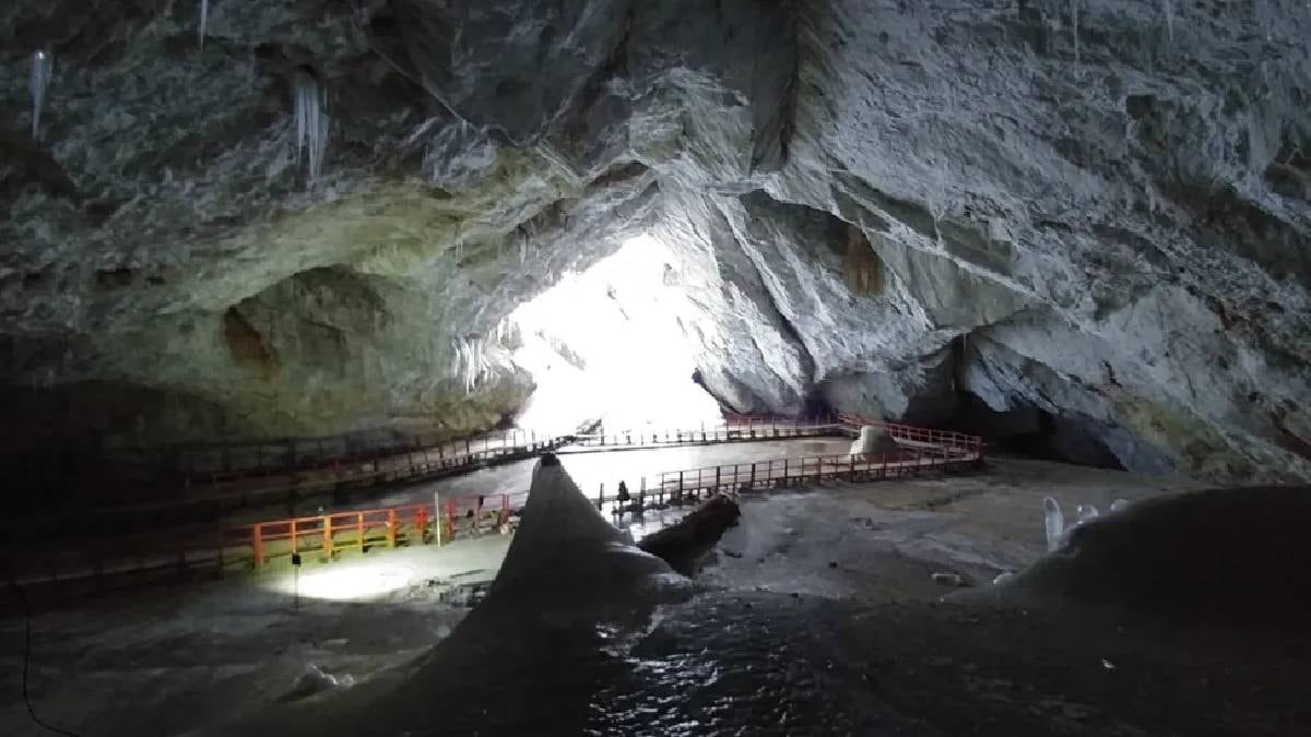 5 bin yıllık buzun içinden çıktı: Modern tıbbı kurtaracak süper bakteri