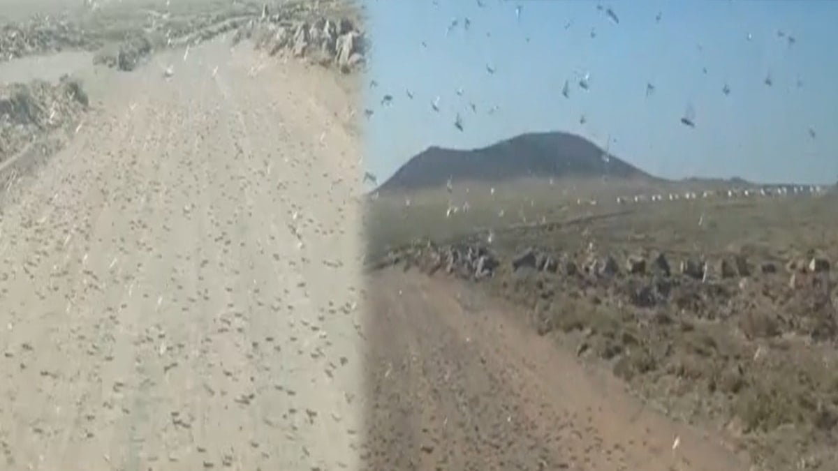 Bir anda gökten patır patır yağmaya başladı: Halka 48 saat uyarısı yapıldı