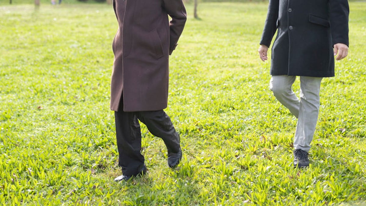 Onay çıkarsa çimlerde yürümek ücretli olacak