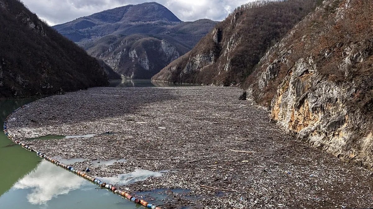Binlercesi sahile vurdu: Üç ülke tek noktada toplanıyor