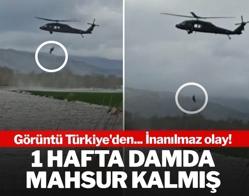 Görüntü Türkiye'den... İnanılmaz olay! 1 hafta damda mahsur kalmış