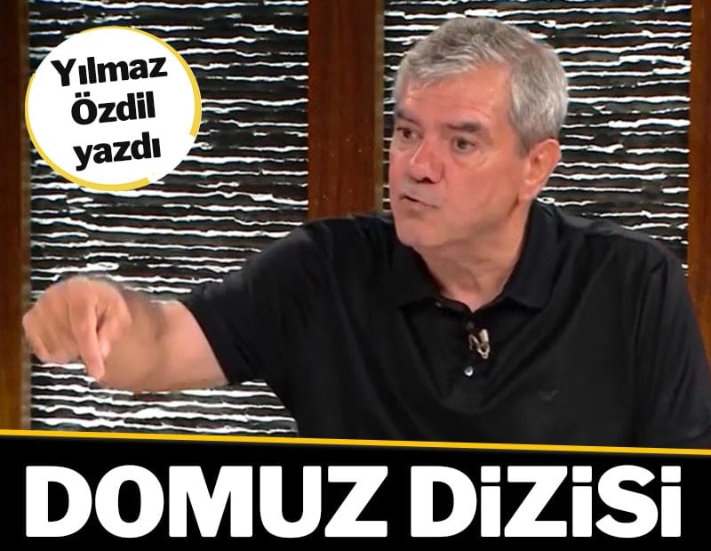 Domuz dizisi