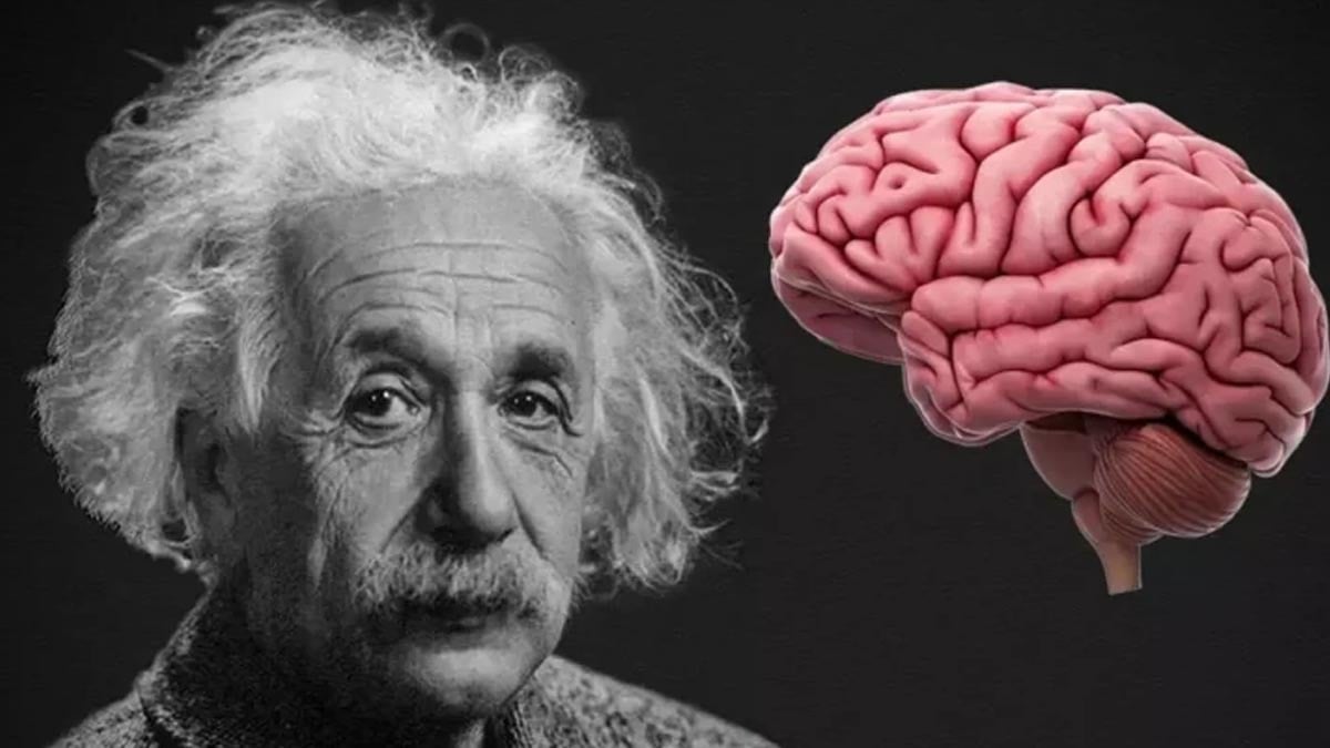 Bu alışkanlıkla düşük zeka göstergesi: Psikologlar açıkladı