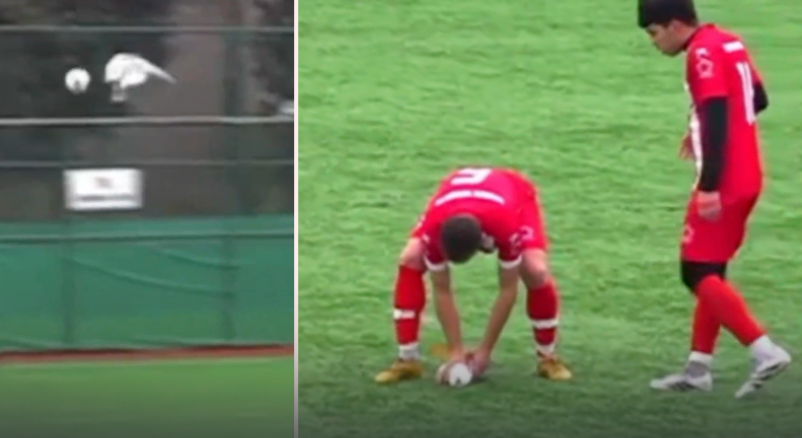 Uçan martıya top çarptı! Sahada kalp masajı yapıldı