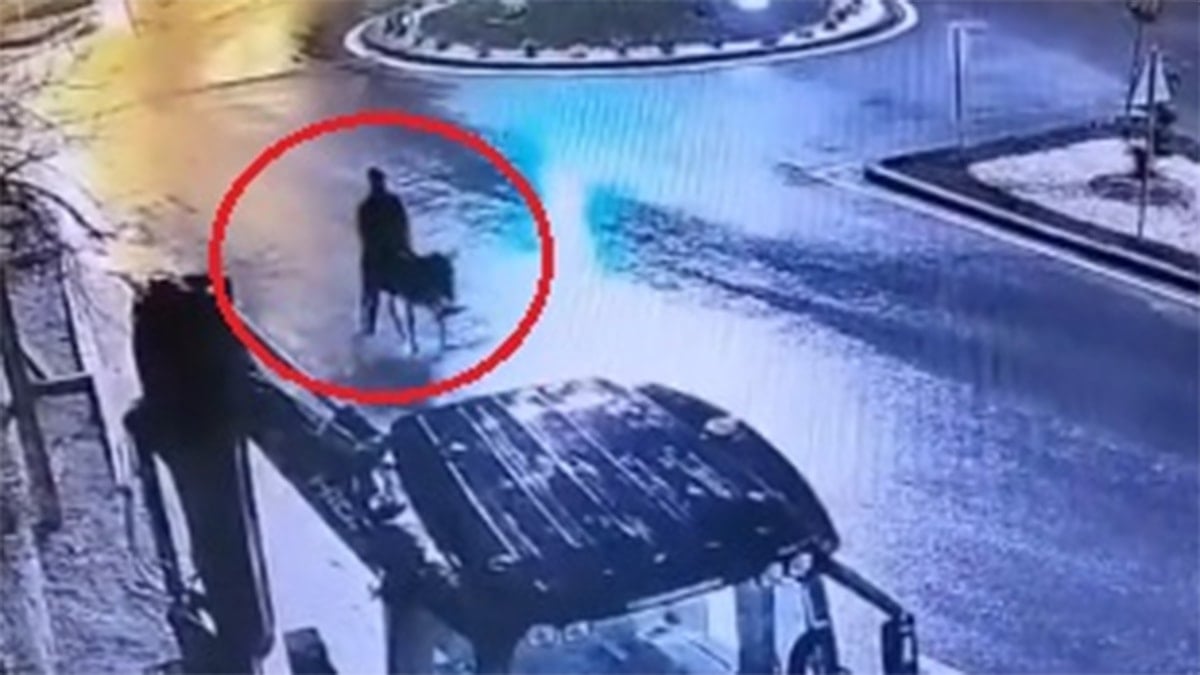 Banka soyup eşekle kaçmıştı! Verdiği ifade dikkat çekti