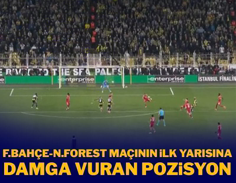 Fenerbahçe penaltı bekledi, hakem 'Devam' dedi