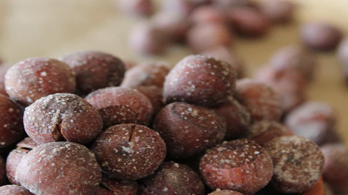 Tarlada 250, pakette 1600 TL