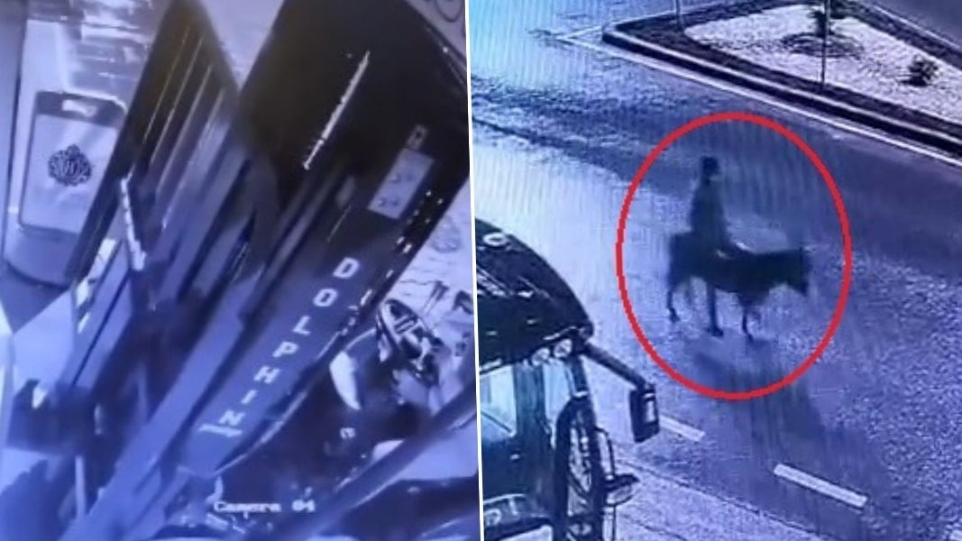 Forkliftle girdi, eşekle kaçtı! Kuyumcu soygununda ilginç plan