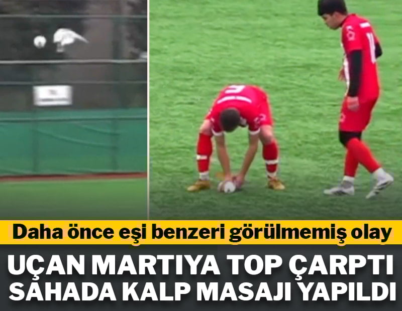 Uçan martıya top çarptı! Sahada kalp masajı yapıldı
