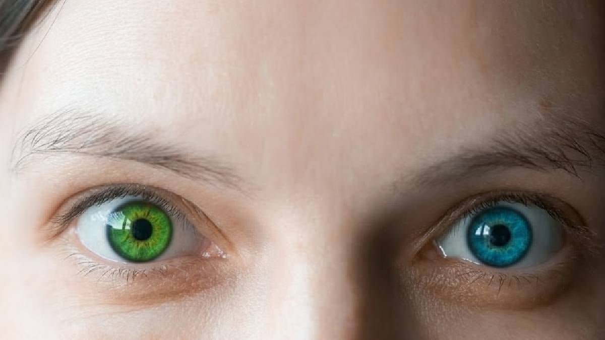 Ne yeşil ne de mavi: En nadir göz rengi belli oldu