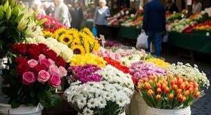 Gül 200, orkide 2 bin liradan tezgâhlarda