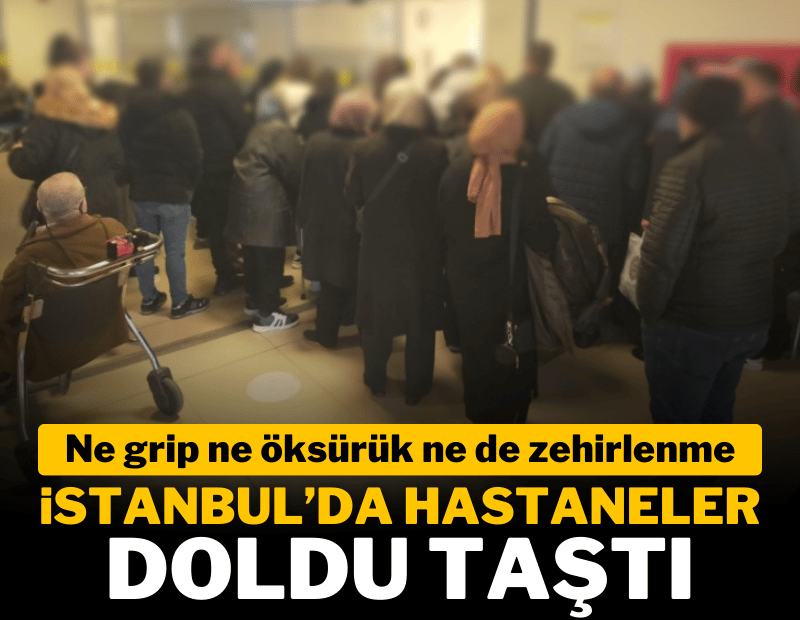 İstanbul'da 'kuduz' alarmı; hastaneler doldu taştı