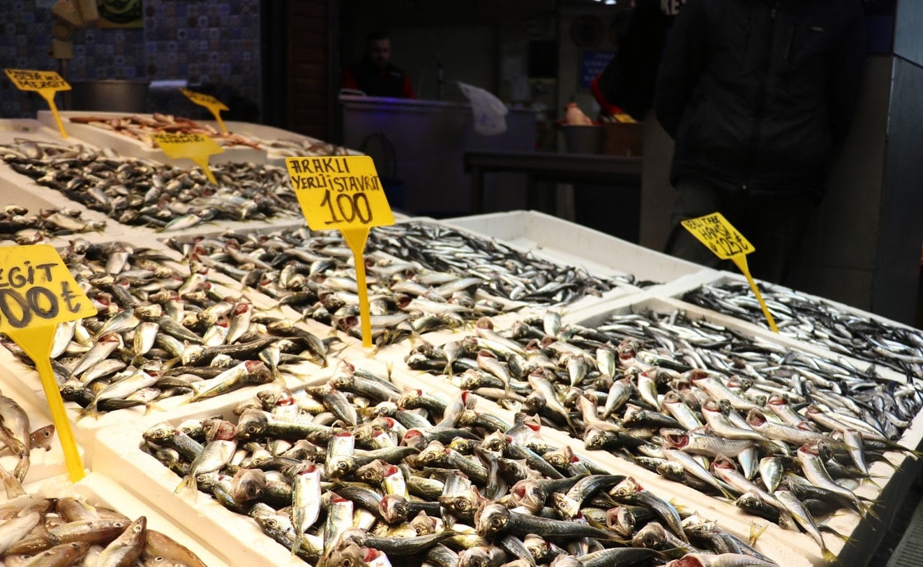 Trabzon'da istavrit bolluğu: Kilosu 100 liraya düştü