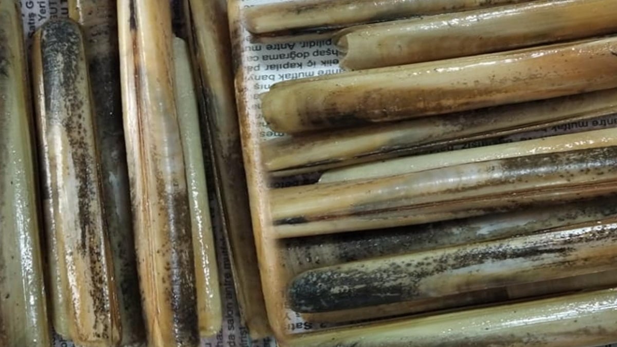 Japonlarda servet değerinde: Türkiye'de sahillere vurdu, çuval çuval topladılar