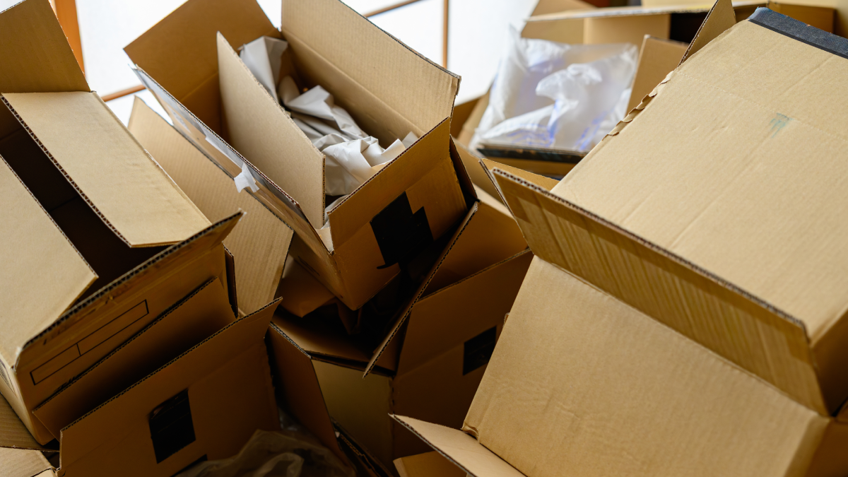 Kartonları çöpe atanlar pişman olacak: İşte nedeni