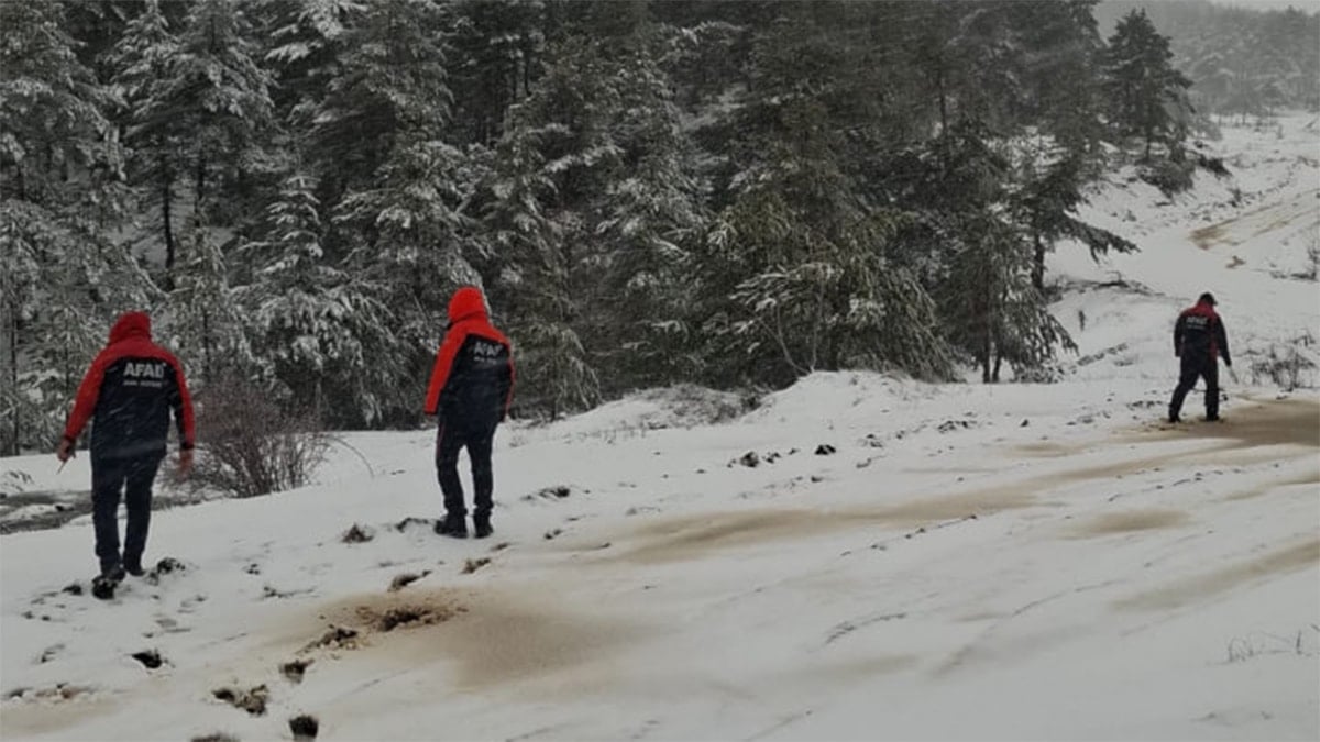 Kayıp olarak aranıyordu! Cesedi parçalanmış halde bulundu