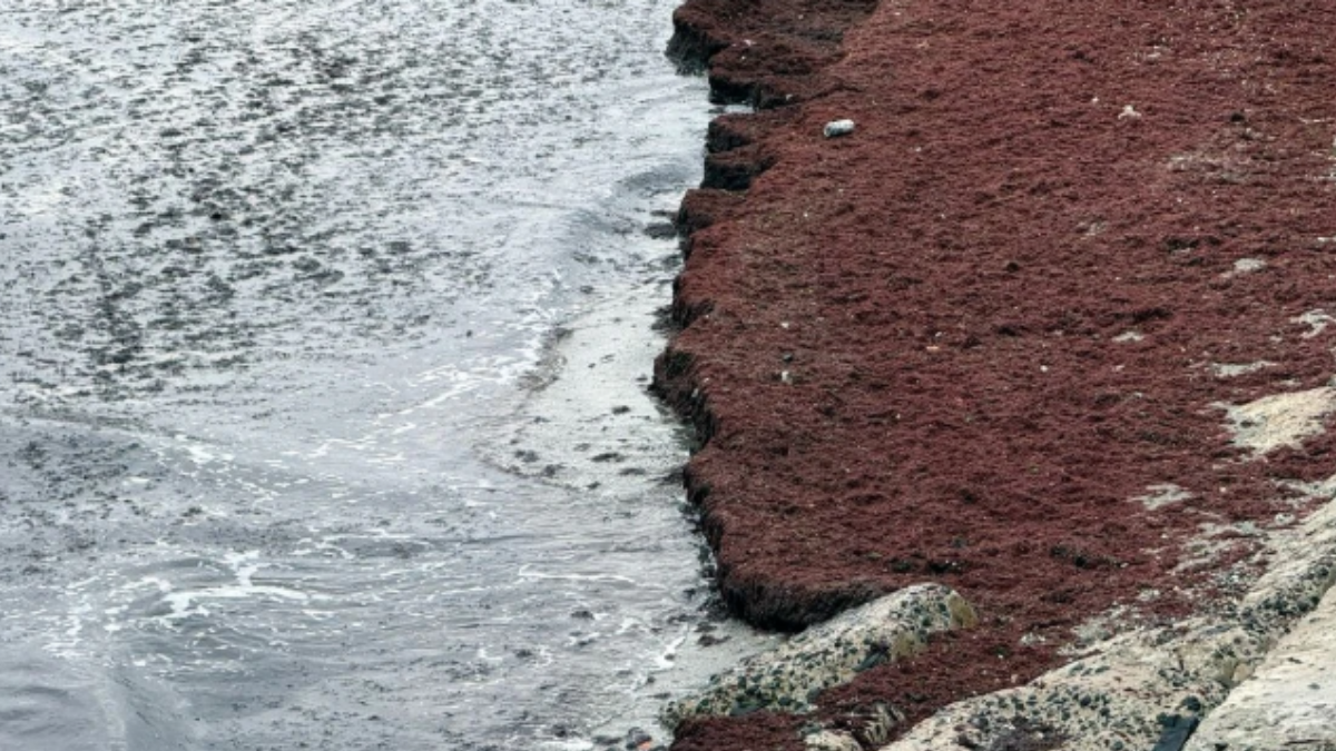 O şehrimiz resmen kırmızıya boyandı
